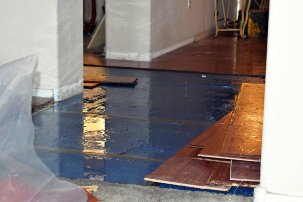 Professional Water Damage Restoration technician working in Sarahsville, OH
